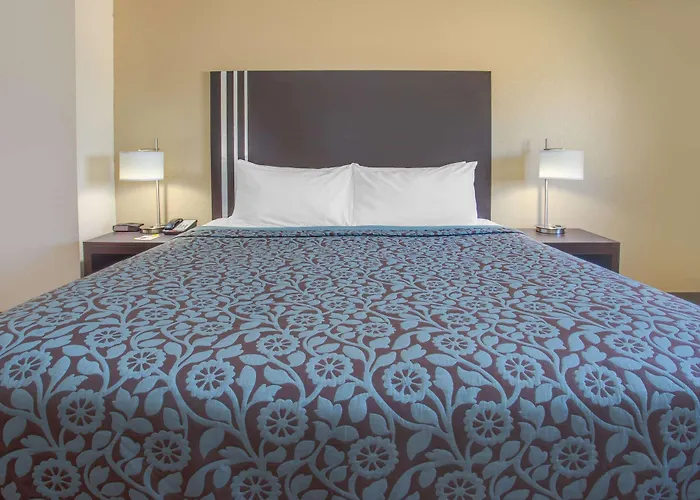 Hotel Days By Wyndham Le Roy/bloomington Southeast
