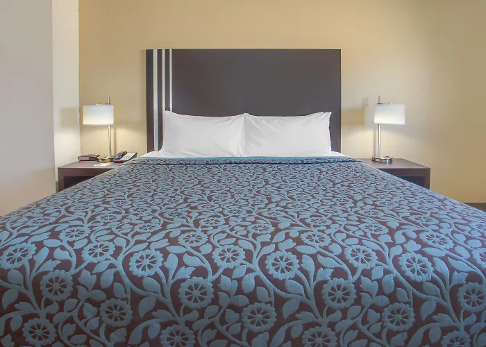 Hotel Days By Wyndham Le Roy/bloomington Southeast
