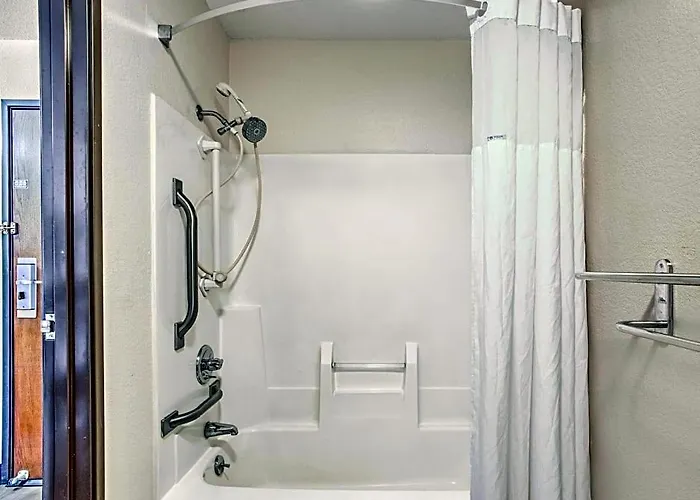 Hotel Days By Wyndham Le Roy/bloomington Southeast 2*